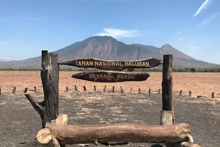 taman nasional baluran banyuwangi