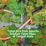 Tebet-Eco-Park-Jakarta-Selatan-Oase-Hijau-di-Tengah-Kota