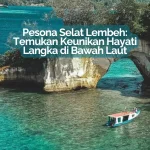 pesona selat lembeh