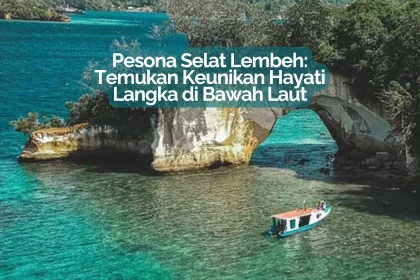 pesona selat lembeh