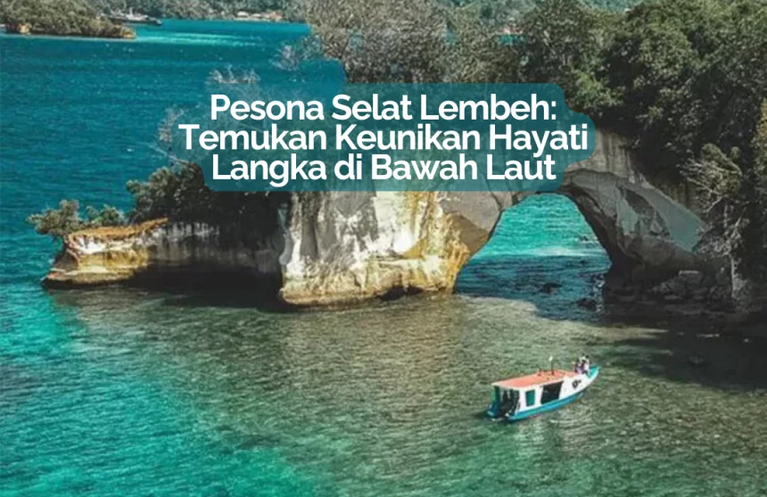 pesona selat lembeh