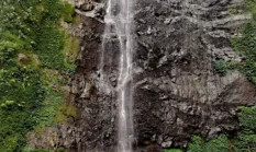 Menyusuri Pesona Air Terjun di Jember, Surga Tersembunyi di Balik Hutan dan Perbukitan