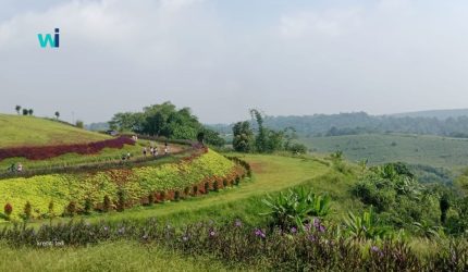 Bukit Panenjoan Pamuruyan di Cibadak