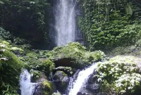 dok.kelumajang.com