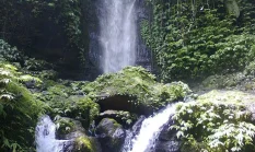 Menikmati Keindahan Air Terjun Tujuh Bidadari di Tengah Hutan Asri Jember