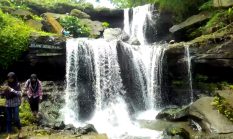 Air Terjun Anjasmoro Jember, Pesona Alam Sejuk yang Menenangkan Pikiran