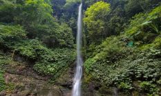 Air Terjun Grenjengan, Hidden Gem di Pacet yang Menawarkan Ketenangan di Tengah Hutan Pinus